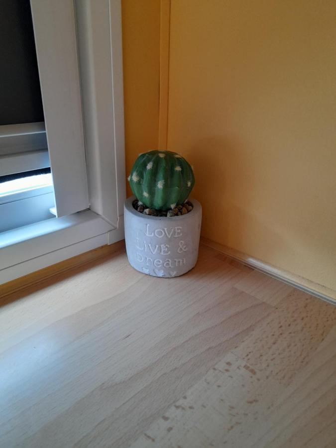 Apartmán A Casinha Da Aguieira Na Lands Hause L6 Burinhosa Exteriér fotografie