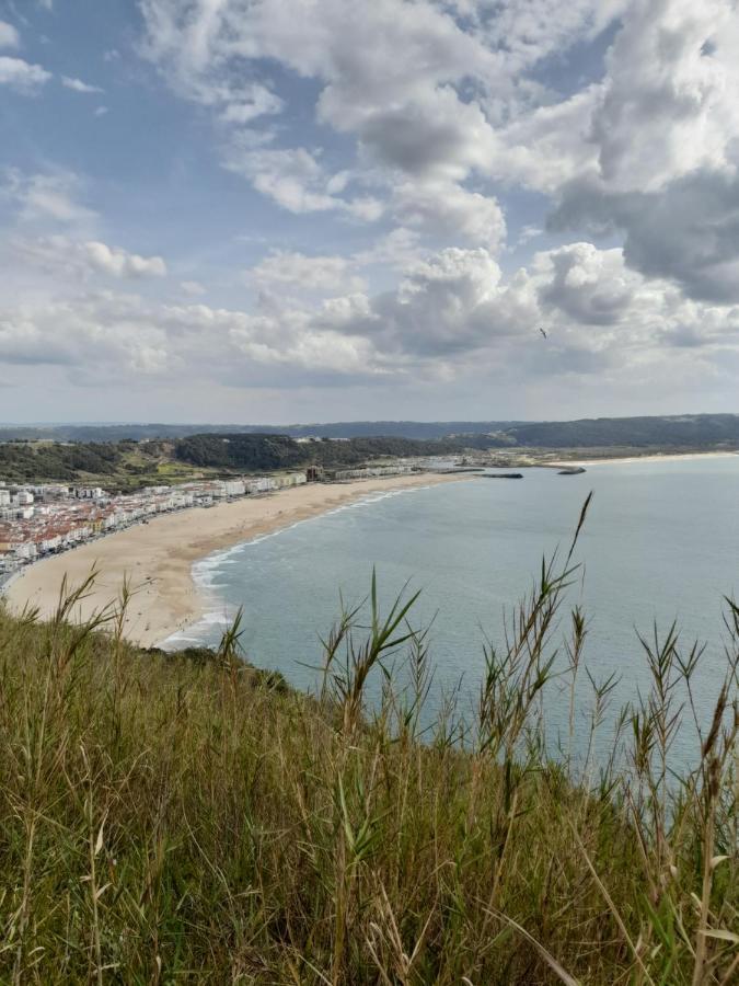 Apartmán A Casinha Da Aguieira Na Lands Hause L6 Burinhosa Exteriér fotografie